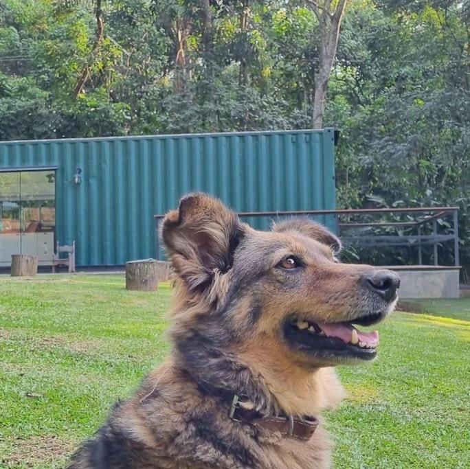 Casa Container Na Represa De Guarapiranga! Sonho! Villa São Paulo Eksteriør billede